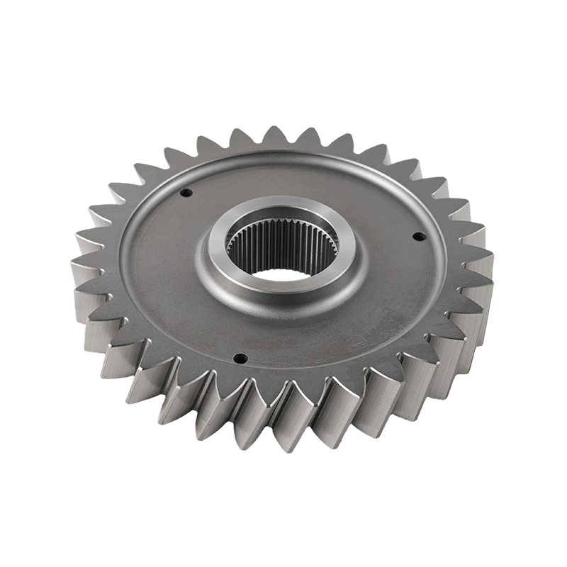 Angetriebenes zylindrisches Zahnrad